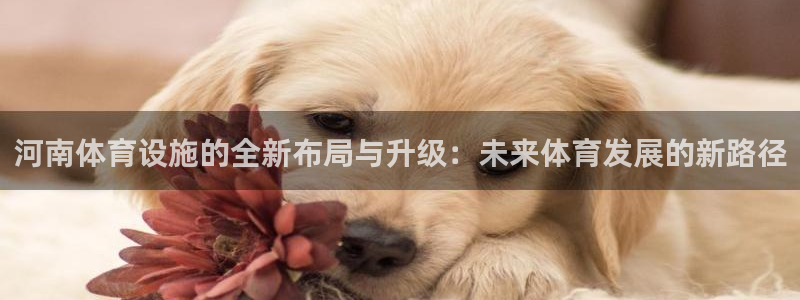 意昂4集团E.ON：河南体育设施的全新布局与升级：未来体育发