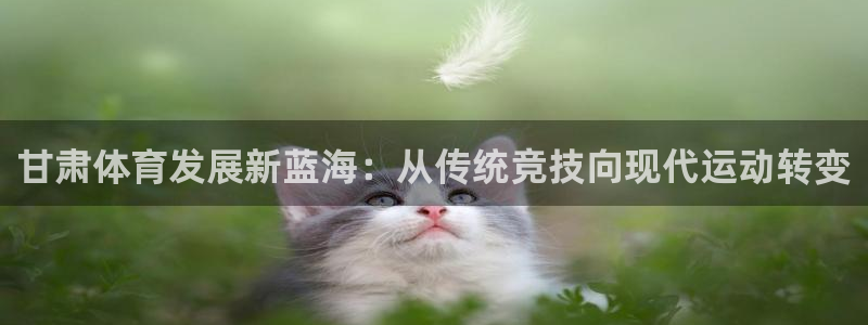 德国意昂4集团