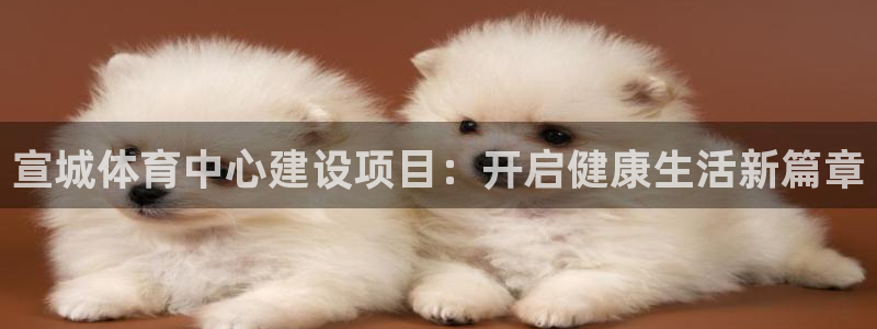 意昂体育4招商电话号码是多少号：宣城体育中心建设项目