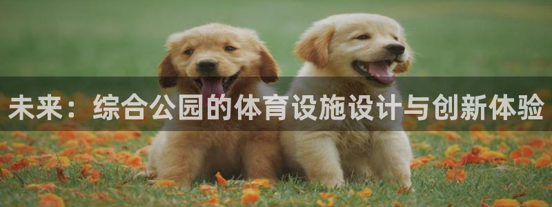 意昂平台体育：未来：综合公园的体育设施设计与创新体验