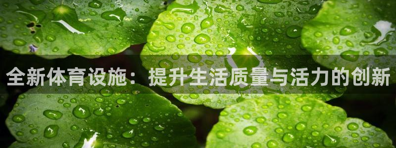 意昂体育4：全新体育设施：提升生活质量与活力的创新