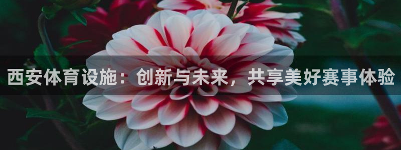 德国意昂4集团：西安体育设施：创新与未来，共享美好赛
