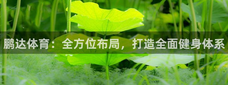 意昂集团官网：鹏达体育：全方位布局，打造全面健身体系