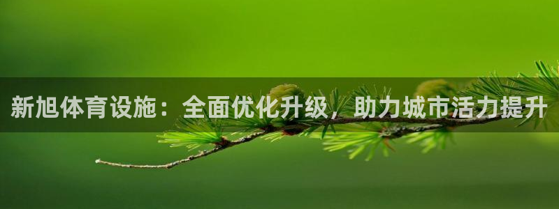 意昂体育4开户：新旭体育设施：全面优化升级，助力城市