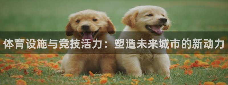 海南意昂体育4发展怎么样：体育设施与竞技活力：塑造未