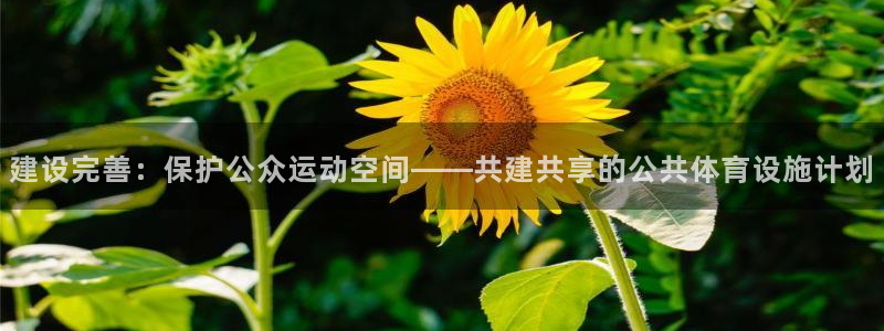 意昂体育4招商电话号码是多少啊：建设完善：保护公众运动空间—