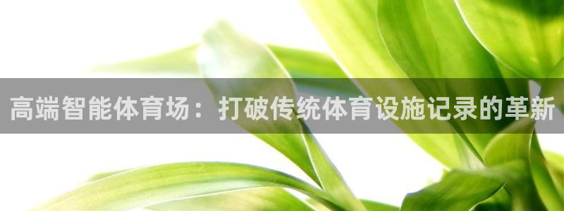 意昂4娱乐首页网站大全：高端智能体育场：打破传统体育设施记录