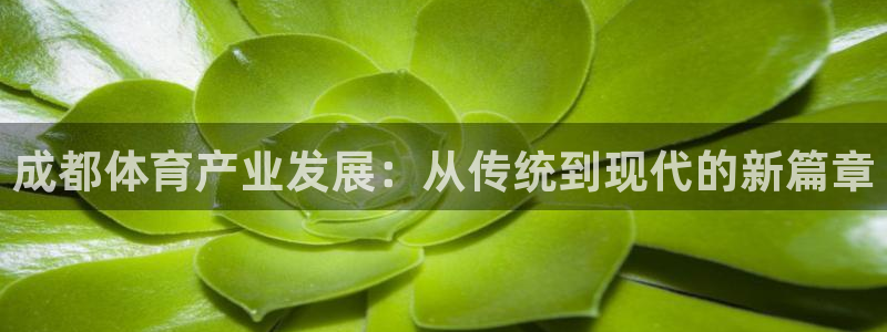 意昂体育4平台注册要钱吗是真的吗：成都体育产业发展：从传统到