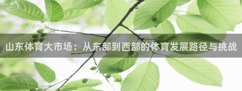 意昂体育4平台：山东体育大市场：从东部到西部的体育发展路径与 