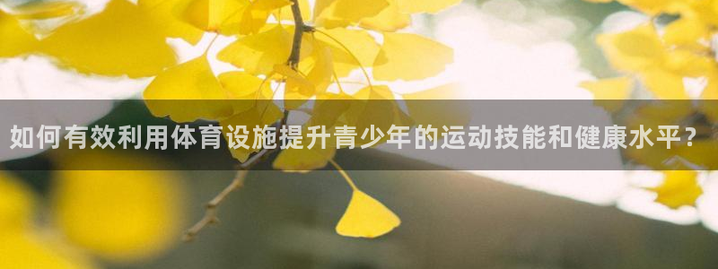 意昂体育4平台是正规平台吗安全吗：如何有效利用体育设施提升青