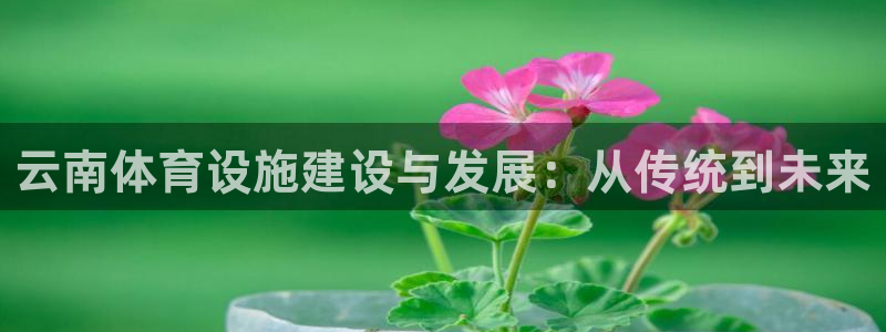 海南意昂体育4：云南体育设施建设与发展：从传统到未来