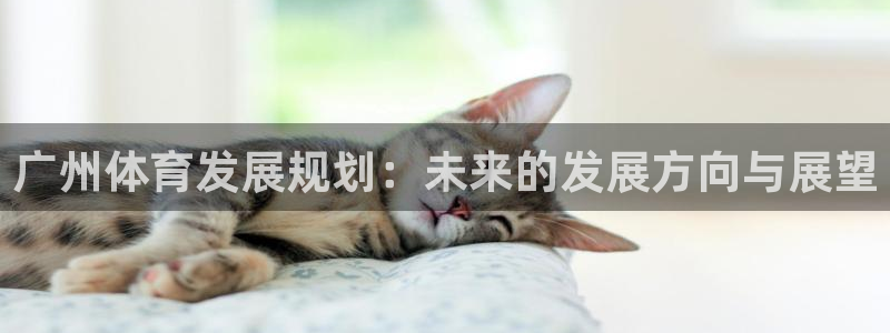 意昂体育4招商电话号码是多少号：广州体育发展规划：未