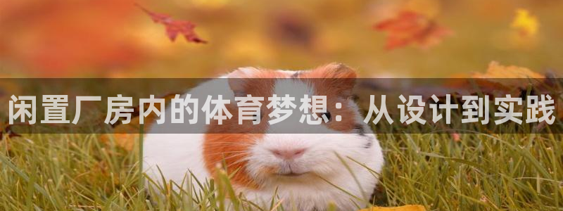 意昂体育4平台注册流程图：闲置厂房内的体育梦想：从设