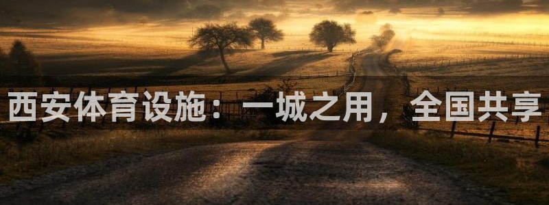 意昂4集团官网首页：西安体育设施：一城之用，全国共享