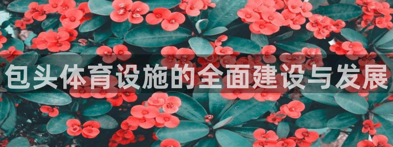 意昂4娱乐40996：包头体育设施的全面建设与发展