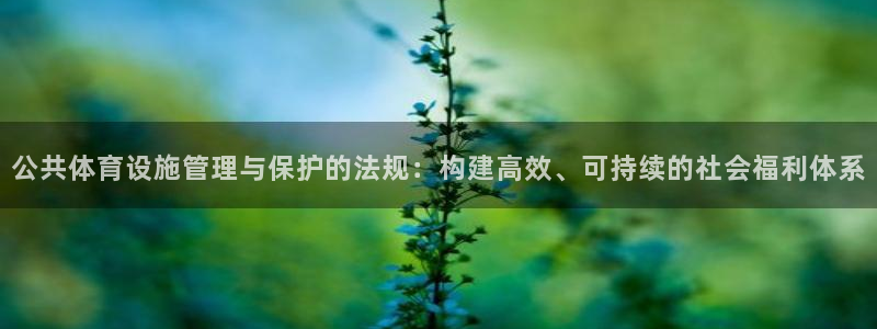 意昂体育4开户：公共体育设施管理与保护的法规：构建高