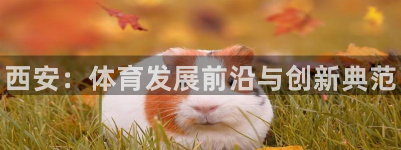 意昂体育4娱乐：西安：体育发展前沿与创新典范