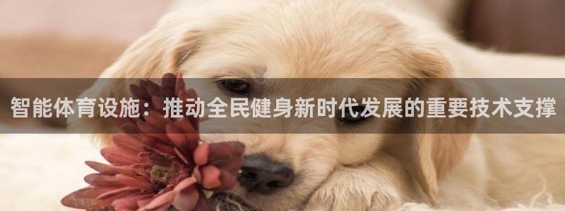 意昂体育4娱乐：智能体育设施：推动全民健身新时代发展