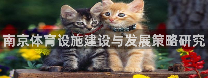 意昂体育4平台是正规平台吗安全吗：南京体育设施建设与