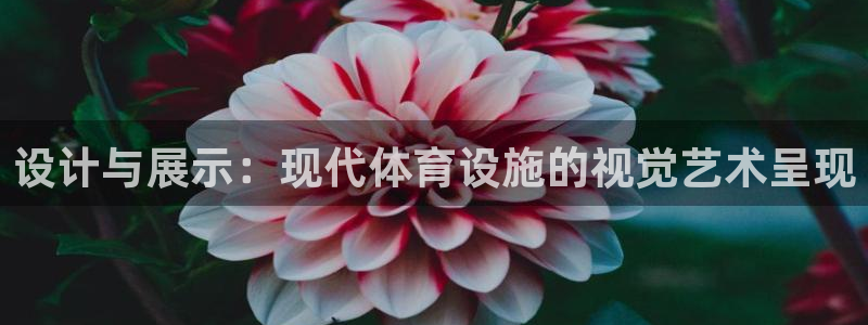 意昂体育4招商电话号码查询：设计与展示：现代体育设施