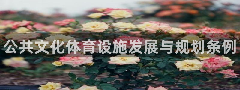 意昂体育4招商电话号码是多少啊：公共文化体育设施发展