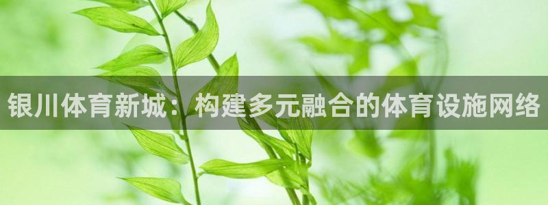 意昂4娱乐40996：银川体育新城：构建多元融合的体