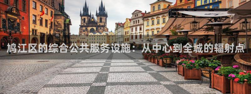 意昂4娱乐首页官网下载：鸠江区的综合公共服务设施：从