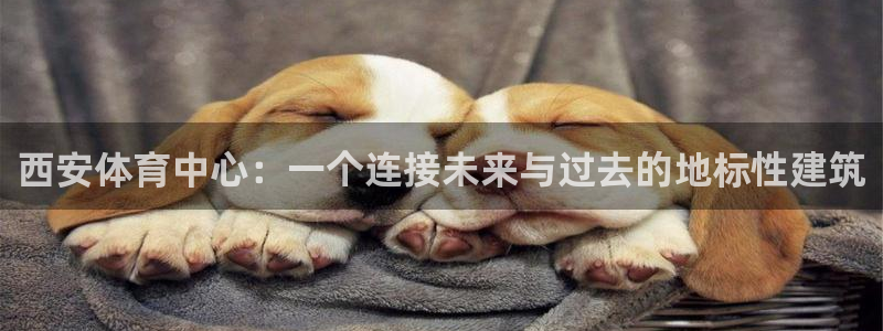 意昂体育4平台注册要钱吗安全吗：西安体育中心：一个连