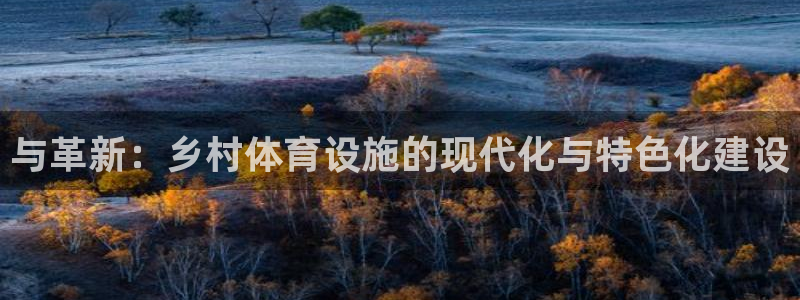 意昂体育4招商电话地址查询：与革新：乡村体育设施的现