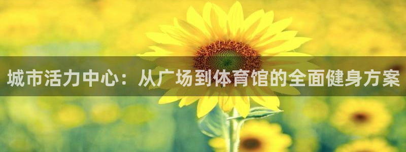 意昂体育4招商电话是多少啊：城市活力中心：从广场到体