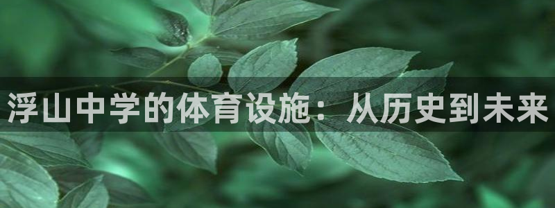 意昂4集团官网首页：浮山中学的体育设施：从历史到未来