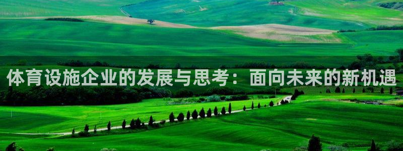 意昂体育4：体育设施企业的发展与思考：面向未来的新机