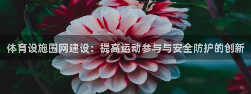 意昂体育4招商电话号码是多少：体育设施围网建设：提高