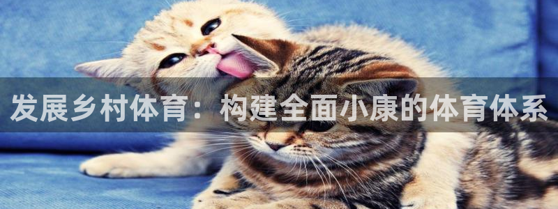 意昂4集团logo：发展乡村体育：构建全面小康的体育