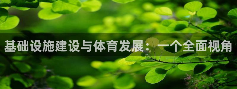 意昂体育4娱乐：基础设施建设与体育发展：一个全面视角