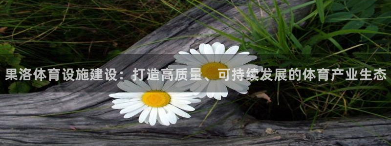 意昂体育4是干嘛的公司：果洛体育设施建设：打造高质量