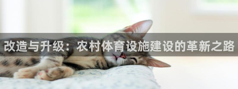 海南意昂体育4发展怎么样：改造与升级：农村体育设施建