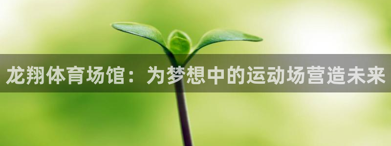 意昂4官网：龙翔体育场馆：为梦想中的运动场营造未来