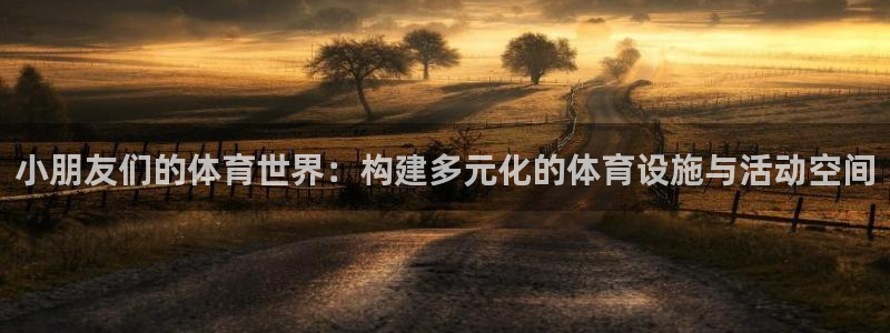 意昂体育4开户：小朋友们的体育世界：构建多元化的体育设施与活