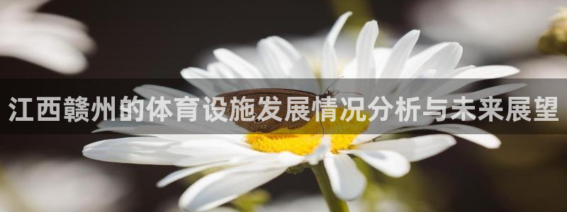 意昂体育4是干嘛的公司：江西赣州的体育设施发展情况分析与未来