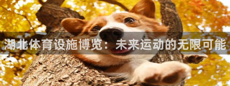 意昂平台体育：湖北体育设施博览：未来运动的无限可能