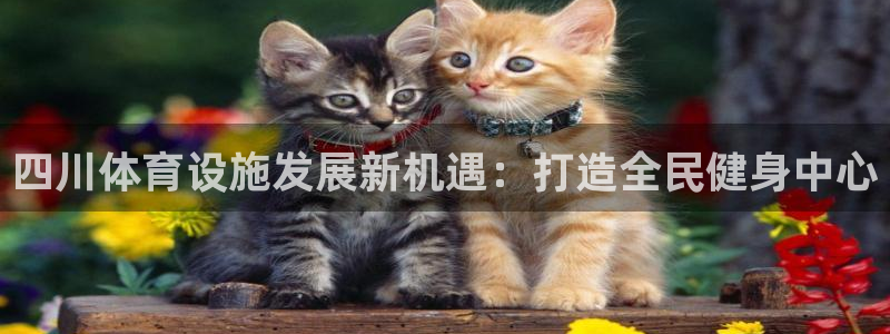 意昂平台体育：四川体育设施发展新机遇：打造全民健身中心