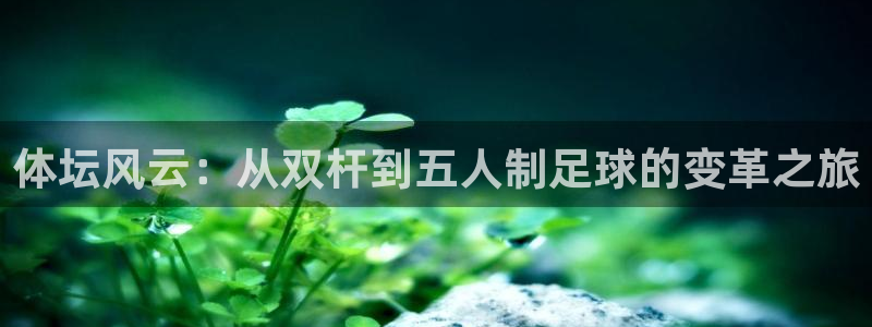 意昂体育4招商电话号码是多少啊：体坛风云：从双杆到五人制足球