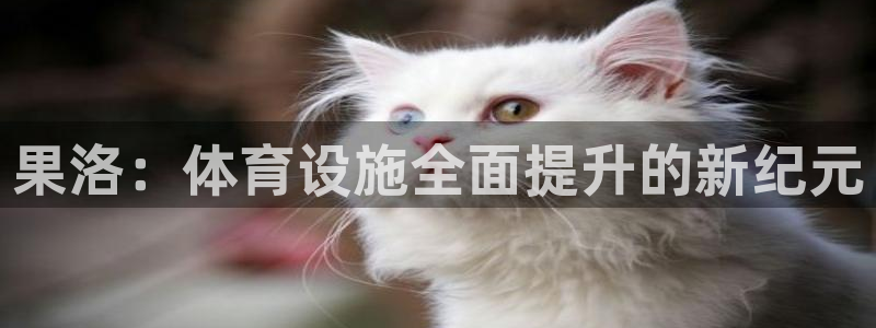 意昂4集团官网网址：果洛：体育设施全面提升的新纪元