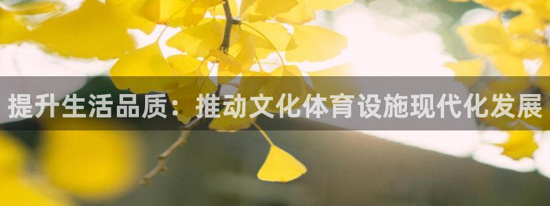 意昂4集团简介：提升生活品质：推动文化体育设施现代化