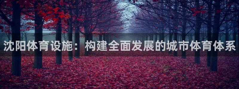 意昂体育4平台假的吗是真的吗：沈阳体育设施：构建全面