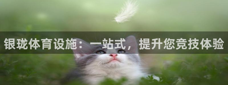 意昂4集团官网首页网址：银珑体育设施：一站式，提升您