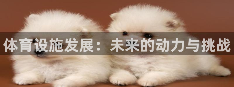 意昂体育4官方客服电话：体育设施发展：未来的动力与挑