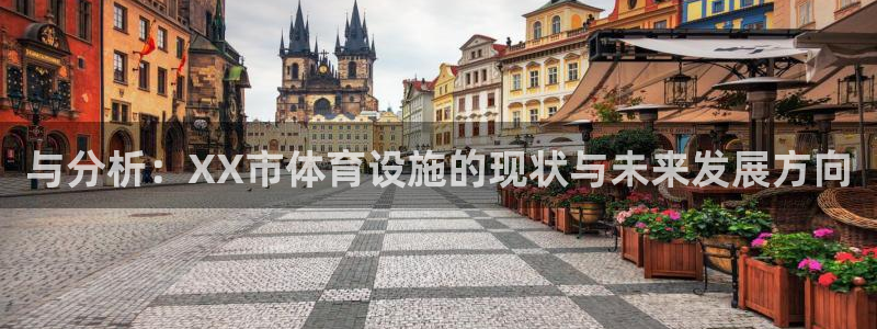 意昂体育4招商：与分析：XX市体育设施的现状与未来发