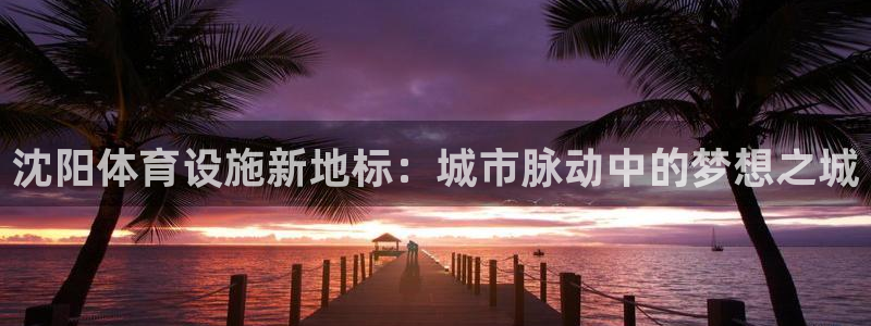 意昂4集团官网首页网址：沈阳体育设施新地标：城市脉动